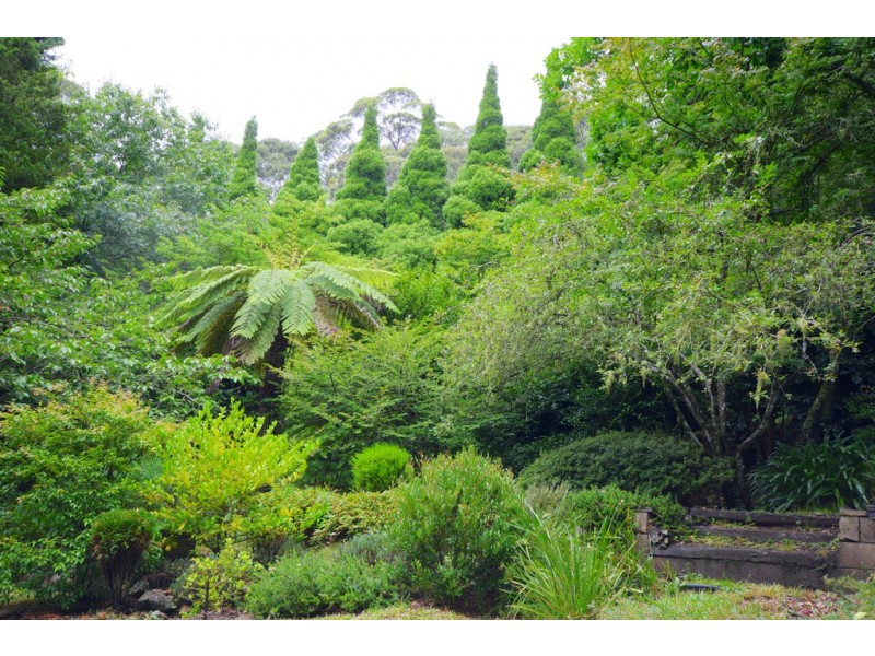 105-107 Mount Irvine Road, Mount Wilson NSW 2786