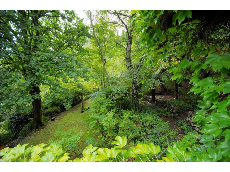 105-107 Mount Irvine Road, Mount Wilson NSW 2786