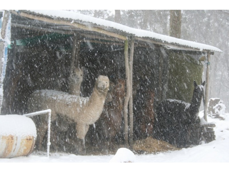 199 Donald Road, Clarence NSW 2790