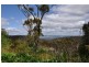 18 Lookout Street, Blackheath NSW 2785