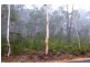 Lot 41 Valley View Road, Dargan NSW 2786