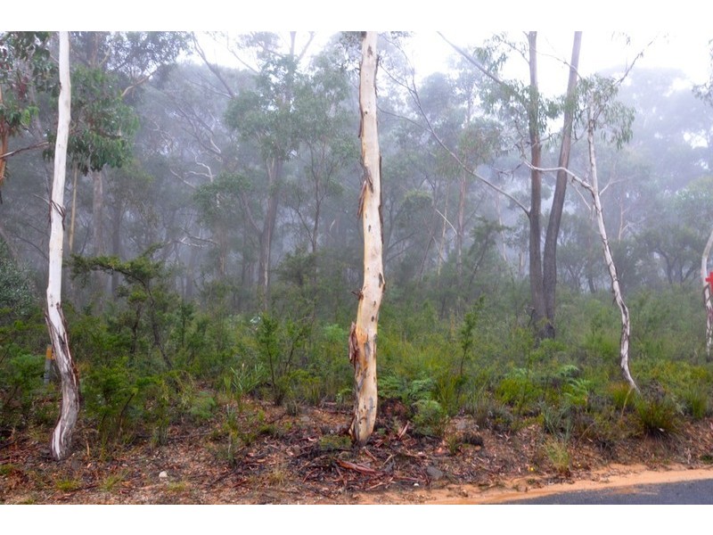 Lot 41 Valley View Road, Dargan NSW 2786
