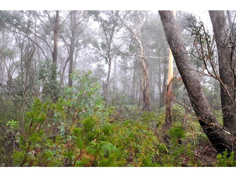 Lot 41 Valley View Road, Dargan NSW 2786