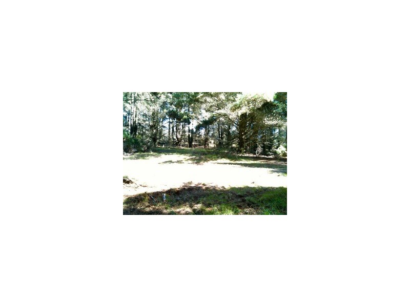 124 Shipley Road, Blackheath NSW 2785