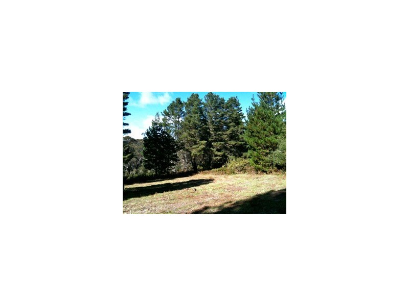 126 Shipley Road, Blackheath NSW 2785