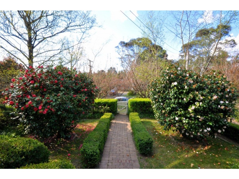 8 Wombat Street, Blackheath NSW 2785