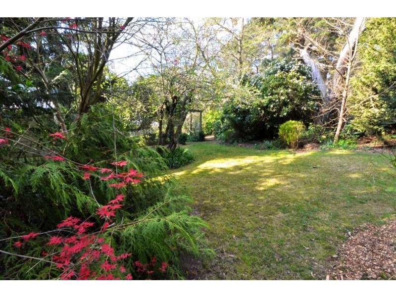 8 Wombat Street, Blackheath NSW 2785