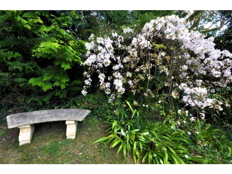 8 Wombat Street, Blackheath NSW 2785