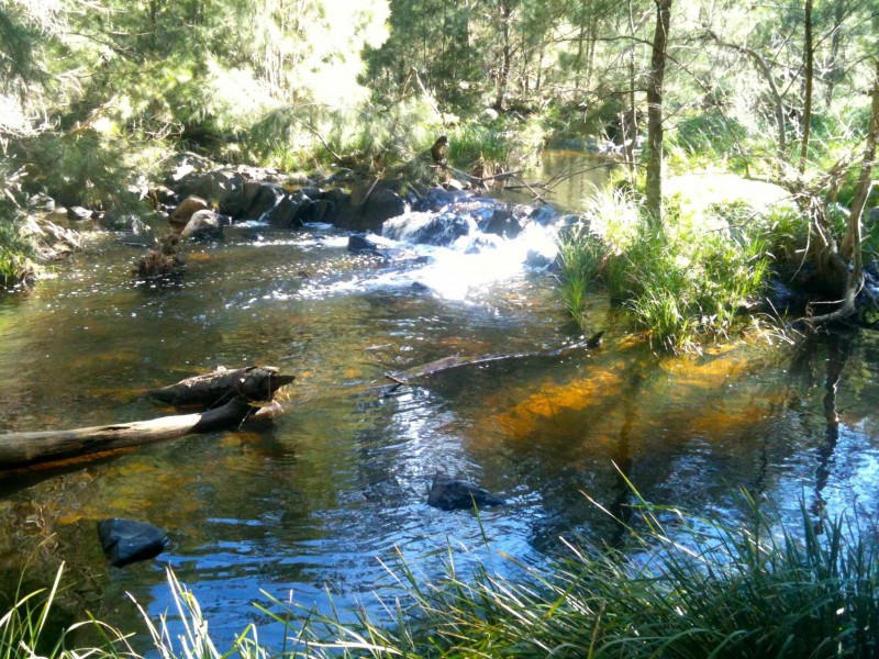 Deep Ravine Baaners Lane, Little Hartley NSW 2790