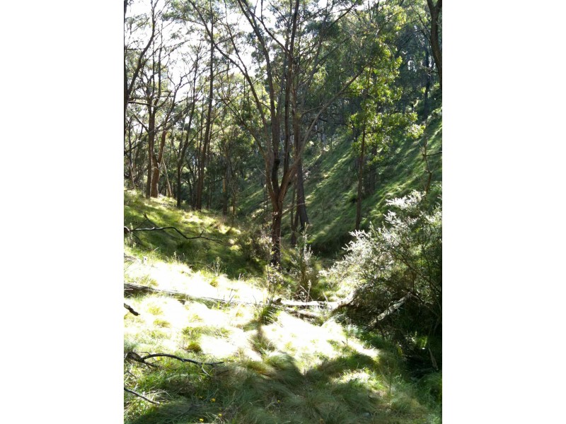 Deep Ravine Baaners Lane, Little Hartley NSW 2790