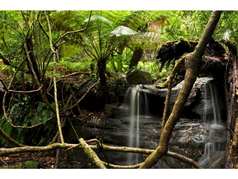 268 Mt Irvine Road, Mount Irvine NSW 2786