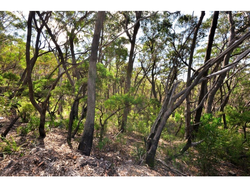 10 The Glen, Mount Victoria NSW 2786