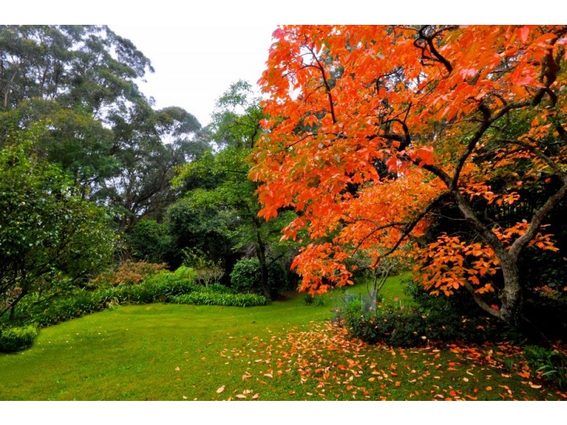 264 Mt Irvine Rd, Mount Irvine NSW 2786