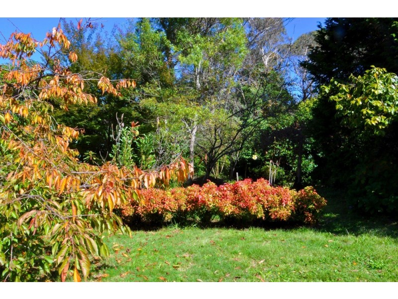 213 Connaught Road, Blackheath NSW 2785