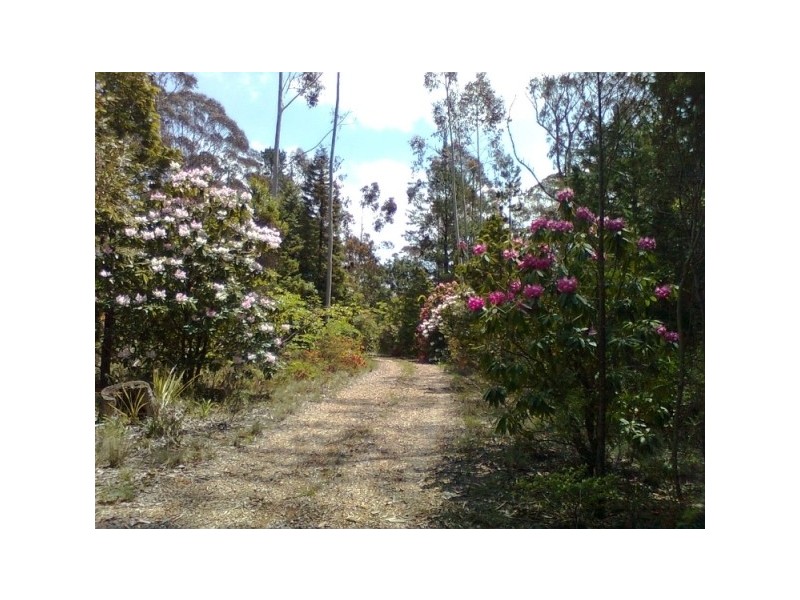 34 – 36 Rutland Road, Medlow Bath NSW 2780