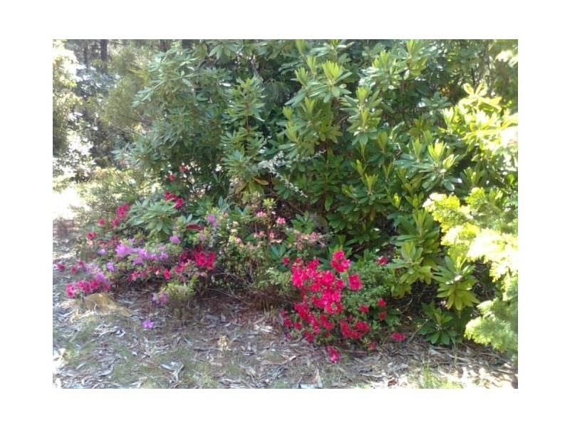 34 – 36 Rutland Road, Medlow Bath NSW 2780