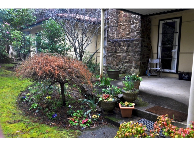 49 Wentworth Street, Blackheath NSW 2785