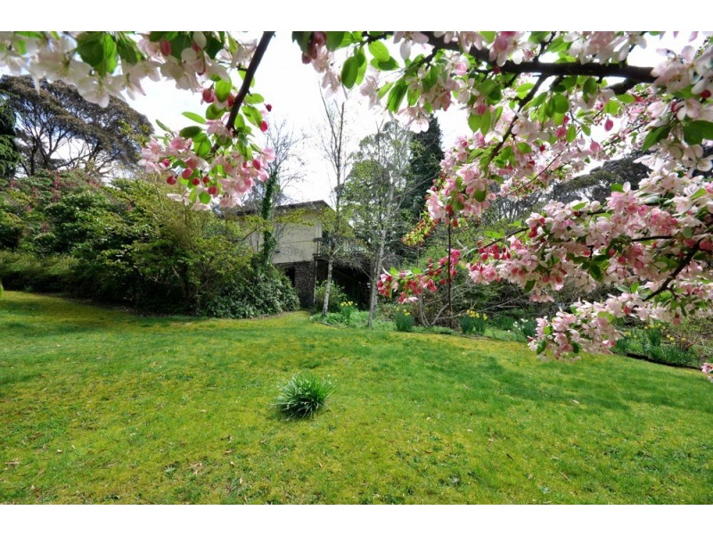 49 Wentworth Street, Blackheath NSW 2785