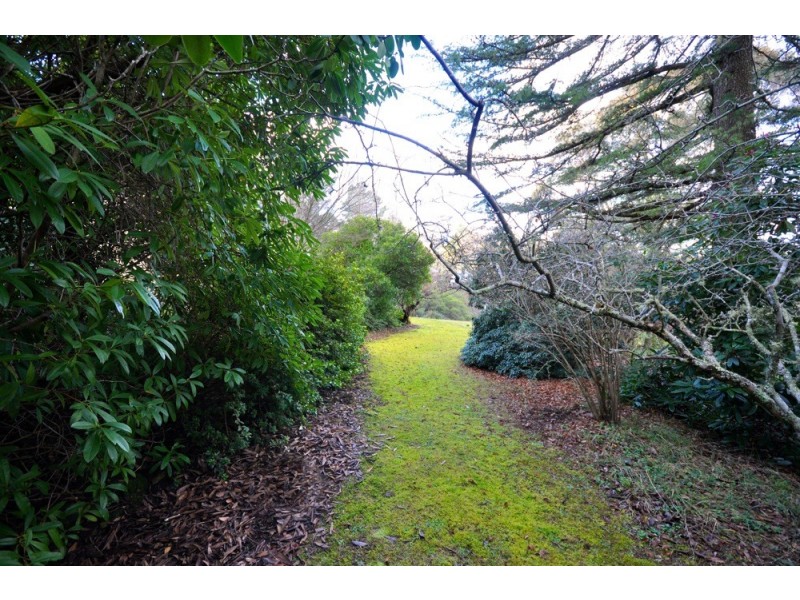 49 Wentworth Street, Blackheath NSW 2785