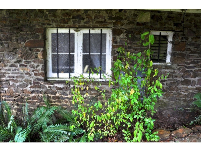 49 Wentworth Street, Blackheath NSW 2785