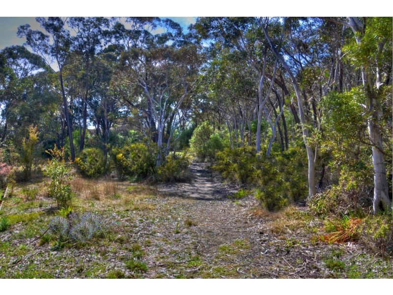 67 Victoria Street, Mount Victoria NSW 2786