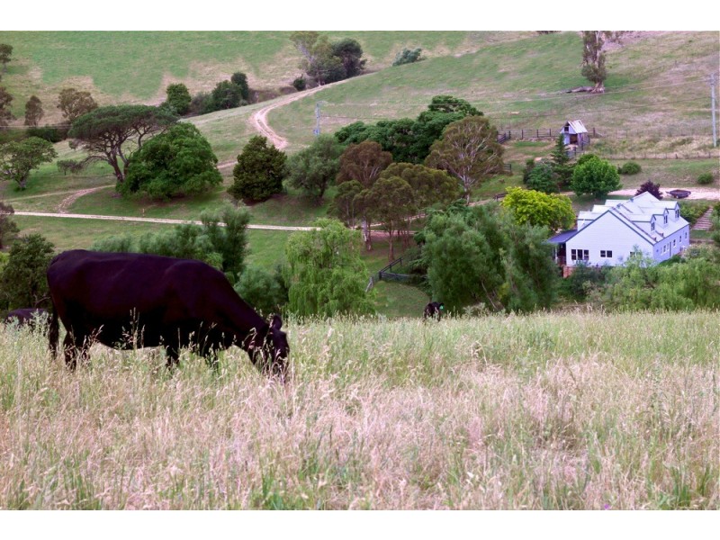 1688 Ganbenang Road, Kanimbla NSW 2790