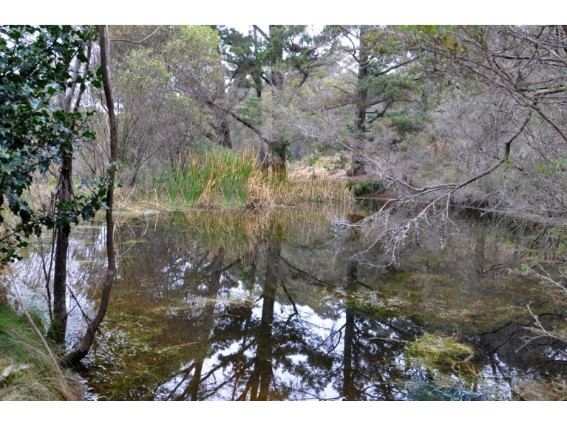 10-14 Mt Blackheath Road, Blackheath NSW 2785