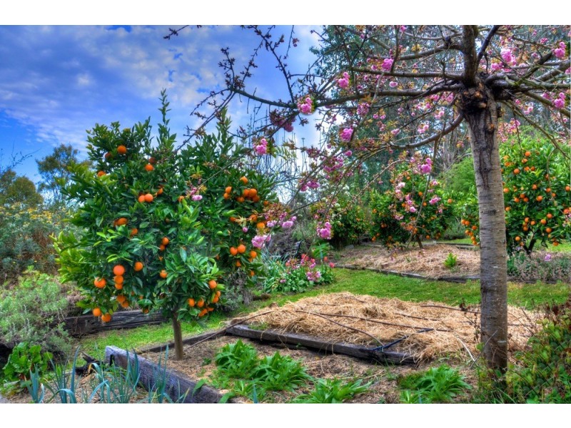148 Kanimbla Drive, Little Hartley NSW 2790