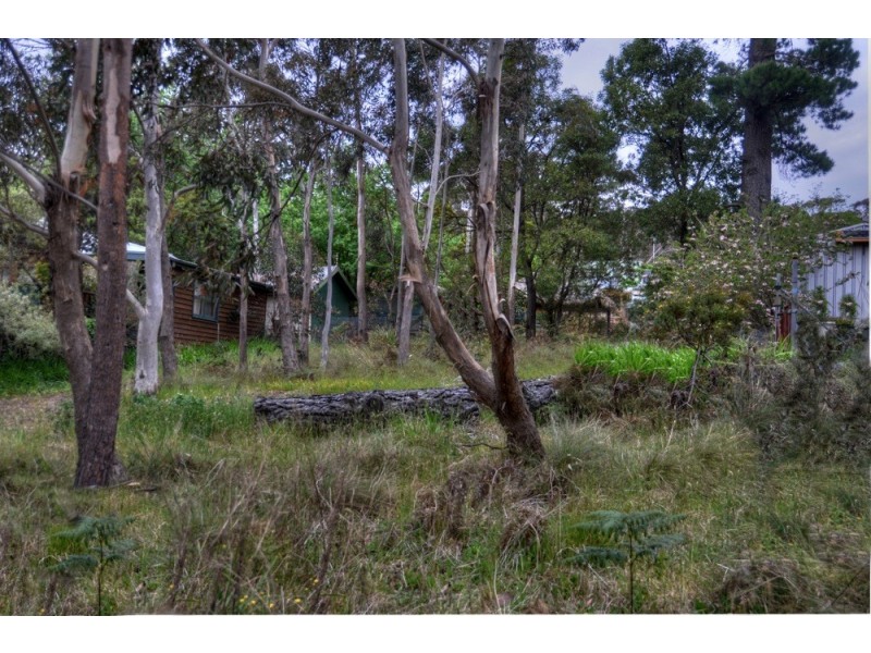 85 Bettington Road, Blackheath NSW 2785