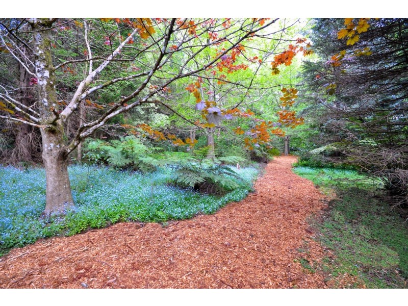 11-15 Farrer Road West, Mount Wilson NSW 2786