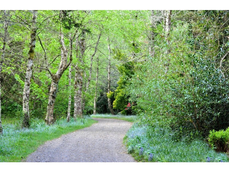 11-15 Farrer Road West, Mount Wilson NSW 2786