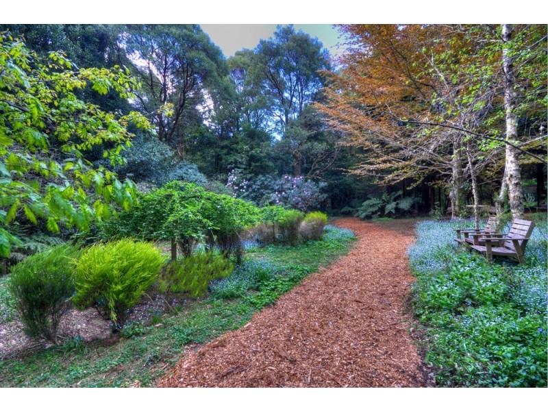 11-15 Farrer Road West, Mount Wilson NSW 2786