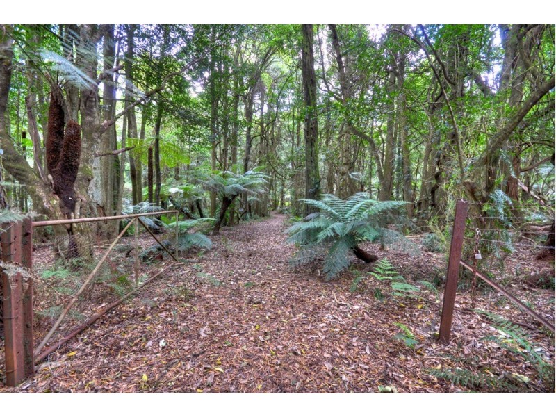 11-15 Farrer Road West, Mount Wilson NSW 2786