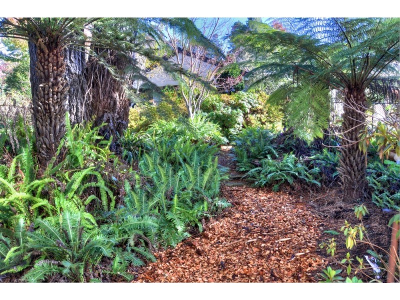 30 Romaine Street, Blackheath NSW 2785