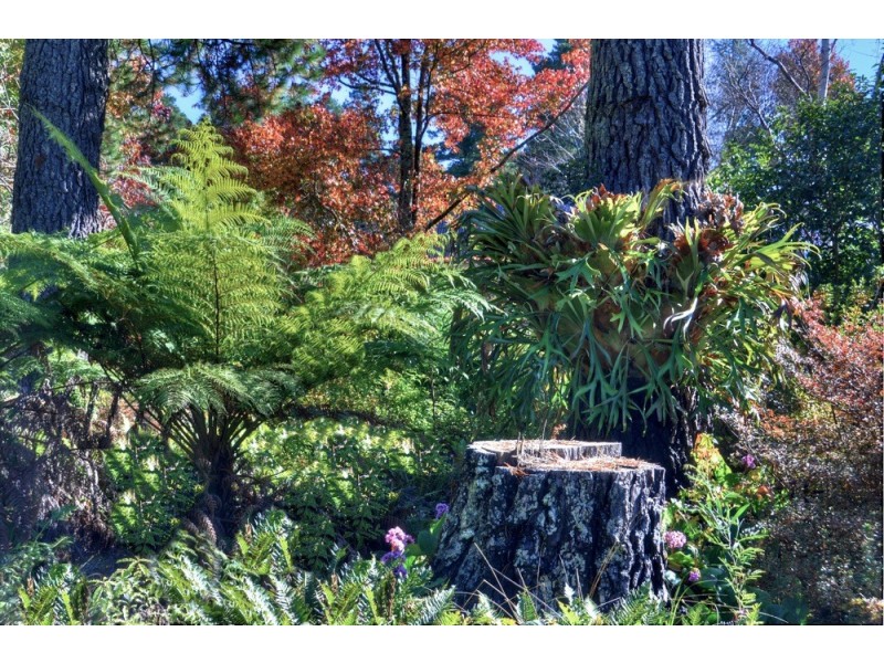 30 Romaine Street, Blackheath NSW 2785