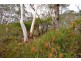 165-175 Connaught Road, Blackheath NSW 2785