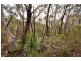 165-175 Connaught Road, Blackheath NSW 2785