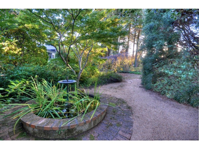 41 Inconstant Street, Blackheath NSW 2785