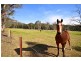 Megalong NSW 2785