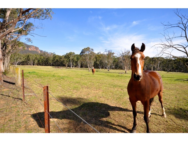 Megalong NSW 2785