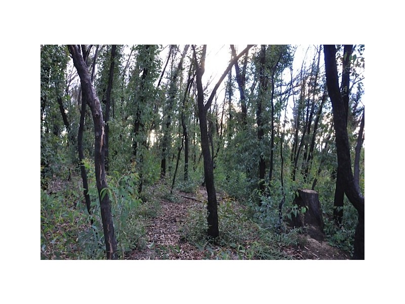 1 Onslow Avenue, Mount Victoria NSW 2786