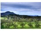55 Bonnie Blink Drive, Little Hartley NSW 2790