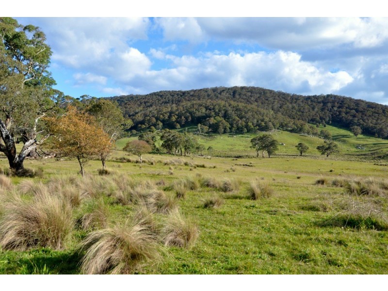 215 Wicketty War Road, Hampton NSW 2790