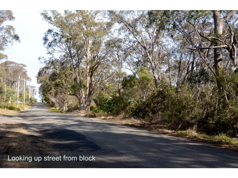 3 Mt Piddington Road, Mount Victoria NSW 2786