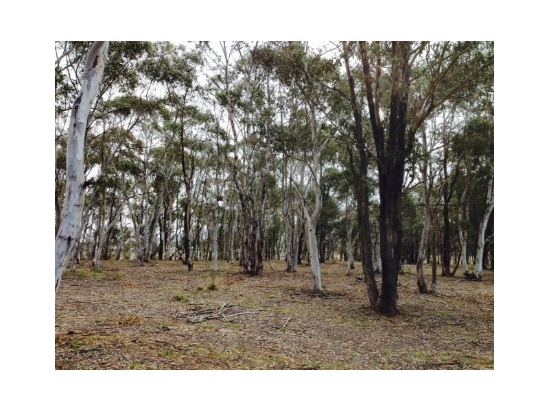 Lot 5 Glenrock Place, Little Hartley NSW 2790