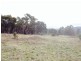 Lot 5 Glenrock Place, Little Hartley NSW 2790