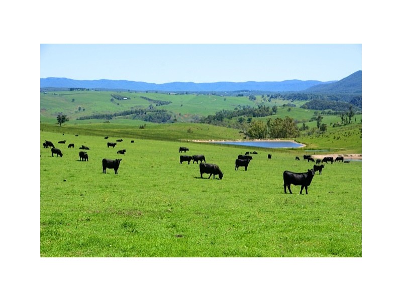 57 Ward Road, Megalong NSW 2785