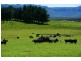57 Ward Road, Megalong NSW 2785