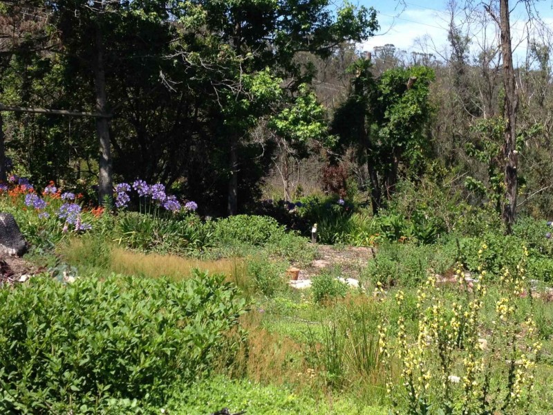 22-26 St Georges Parade, Mount Victoria NSW 2786