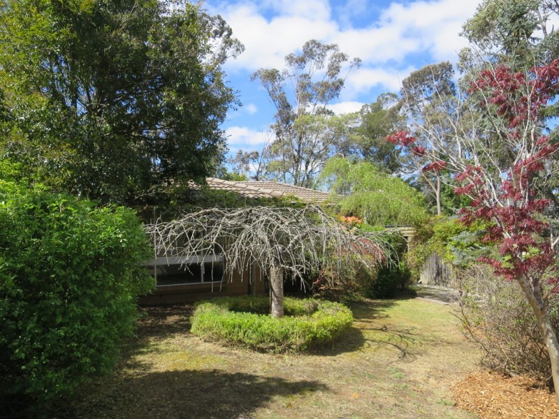 18 Heath St, Blackheath NSW 2785